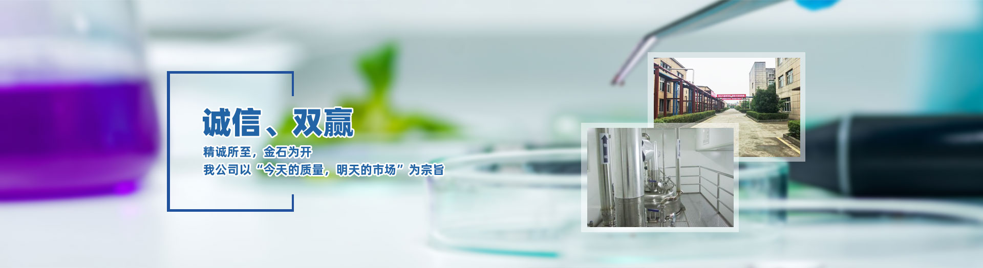 杭州臨安維蘭助劑有限公司